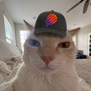 Coin image for 6vVBUBxNY3oRqpAMRYsE37nUwPZxTzTwdVu5t7HTckZy