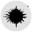 Coin image for 726FbtAd4mFSMf2s8Zfzg3jWu6gfRS46Lev3KVKoRoM7