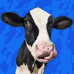 Coin image for 76GgyFkPNRCXhkHHYdbeEnjSNKiVEwPW7B92QHa4pump