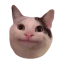 Coin image for 78JS5UjQk3FdQcfwrmRJB4pbCHoFJhKkAdTE4bkQbonk