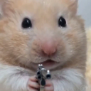 hamster wif gun