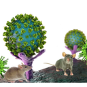 Coin image for 7CgXSsCUTbeCGthhh8Wk2GovouDjTBC8dZdie7WQs3A6