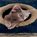 Coin image for 7KQGwTTWFmZAWyeJ6hgeUptRYKjTCnFDYGRdj5XPbonk