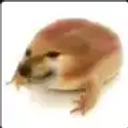 Coin image for 7PBCteUUStqNiRy7WeVYQpkWqKKdZ9KQAHukmC4ngm8w