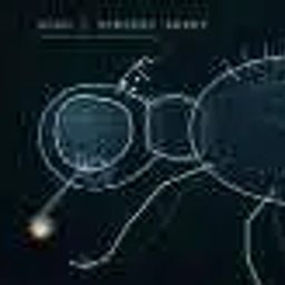 Coin image for 7S79DMJuoBwKT6dEYsSUBGbBFmTMSZz8rV9t7W8d1wxz