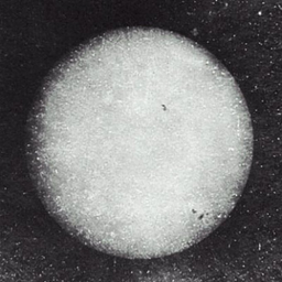 Coin image for 7SPq98JFkVt7V7Cj4TFp1KFRy9oYZynBftQpqgeMpump