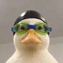 Nasduck