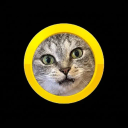 Coin image for 7YYvSKnaGsSm6nMRg2HcJVmF17BebJizYC8cJ7iXdu2y
