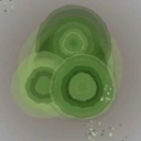 Coin image for 7c92vxjohZoWTG4AtGEHEx4fgFAKXhEEWWQnkcMKb56L