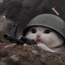 trenchcat