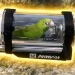 Coin image for 7fpwWu5zbhTuKsdkJKkgVG3Lef8y4DcktxpQCzpRpump