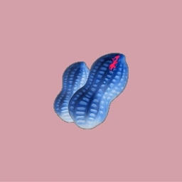Coin image for 7nowhB1yjZoKtnSgwgDubJNtA3kBbeLtmJs9V31wMsZh