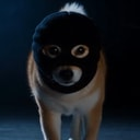 ZINU