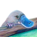 Coin image for 8HBRraWN9sNJvoJnMHtQgLsDeMV99mXqE39BtD3Njups