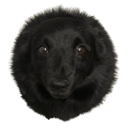 Coin image for 8HqJxbBvBSLJBFxrBHt3Kxz87HBhcwDRMZPTeJZGAG14