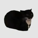 Coin image for 8KdNtBriFpUbHDrEha9gxXPavzactn9UkFRRH1fRbonk