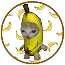 Coin image for 8Ni6ew1tuABJRfXRLtw7EDCAEFBrJy4HcqDwqNfDbonk
