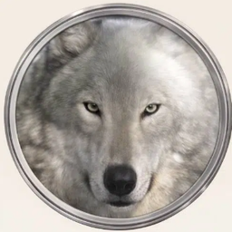 Coin image for 8PsU9NdR5NkACymK7iPgEncgisZWYXwHZHiS9QyKpump