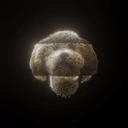 Coin image for 8R3W3H8gkkiGvSLM7X6ECy6UmBVt5daKFSCJzxiWCdog