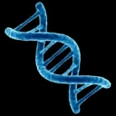 Coin image for 8RZ6V7M9vzNcc8zLGCsDwuWB1JHD5WPUETPaDZKZ7Pjf