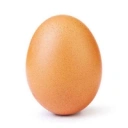 Coin image for 8dQVjcrBcoj6Nwwhi8QErkmao4mcUJNLvMiJGKgDbonk