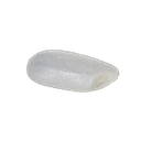 Coin image for 8x2yCUq3iLMr6FGW2Zr1f7g5EoQ8AHyfPwmuLTmxbonk