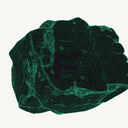 Coin image for 8xmxbnMfZKomYwrDbBDmDUhVaHwNNNbmY5x7PJKAZ6ea