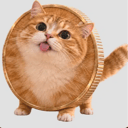 COINCAT