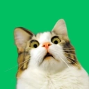 Coin image for 9AWStsVGfGgG1SKAz2hBiuTcEzG1tiW1qa3Ry9yZjups