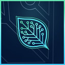 Coin image for 9AtjToofB74gH7Z7xVh6maX5mtLHWLCcBEKhuWDUBAGS