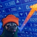 Coin image for 9FMbxAWpMqS63bnrjZUiFWn9pRUmPhUZprXfWPCo4RHA