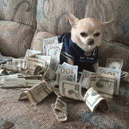 Coin image for 9FtvxJowz49bzJVGkcecdjgSFQHHDWvqmELVTbFxpump