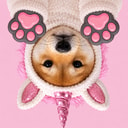 PAWSINU