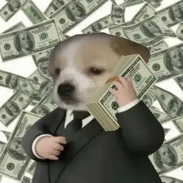 Coin image for 9Ni5mp5DWbMvjmMmsXjnA76fmsRXfeo6M6dJ6WQqeWyL