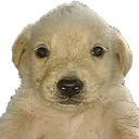 Coin image for 9QGJXajTe3542uTGgzB9NpUMsVWtRdnBHXoRtQqv37DU