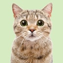 Coin image for 9T4g2pXaYSnwhnrUurFJdcYoxcRKWLmNLPG5cYn67fXw