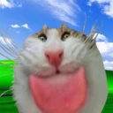 Coin image for 9ddpHikoFcB47qG6ARXSUVm4cERQNkUDu7crySaibonk