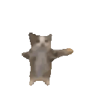 Coin image for 9hpeAytETv44vo3juaAxswxqZawGtFycDDYiP1Wxmoon