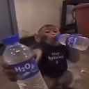 H20