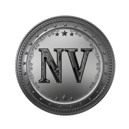Nigga Ventures (NV)