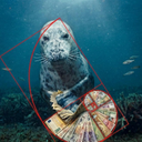 Coin image for A5LLkQGxqZqDiqQKUCWC68yVwK4YFGkKpT7Fh2Y9brrr