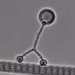 Coin image for A6WWSnEvwwX5F9cpxsFUWv5nWd5KLErhxbheWfnxLZFN