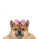 fatbitch