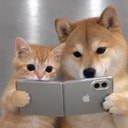 DUO