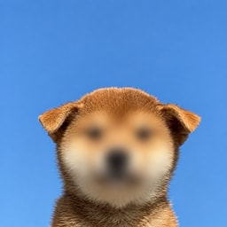 Coin image for AHeBkaBw2D8RzWKzyKQ2ZTCoakyKieyXZ1Viscbspump
