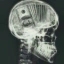 Coin image for AP6rztBvV4yaZFwJdXi9naLHzWzZoLKihX7WrSnb9PmL