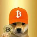 Coin image for AXF1dYyDRNUvBu55y2eQ62N8CxxbNqpDaxrzan7VGkYL