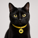 HIGGSCAT