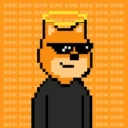 Coin image for AafrVXj9gK29eQygHJTnCs3jvKySmknDX3K2zVPEbonk