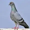 Coin image for AeFQomA1kjoZvNddzw4dCc2gWSwQiYB6goJu7gf5oMy1